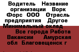 Водитель › Название организации ­ Ворк Форс, ООО › Отрасль предприятия ­ Другое › Минимальный оклад ­ 43 000 - Все города Работа » Вакансии   . Амурская обл.,Благовещенск г.